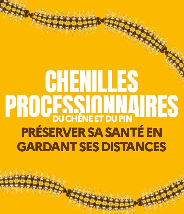Chenilles